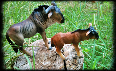 Image:Schleich Animal Figures